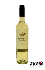 DOMINGO MOLINA TORRONTES 2022