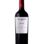 CICCHITTI MALBEC 2022